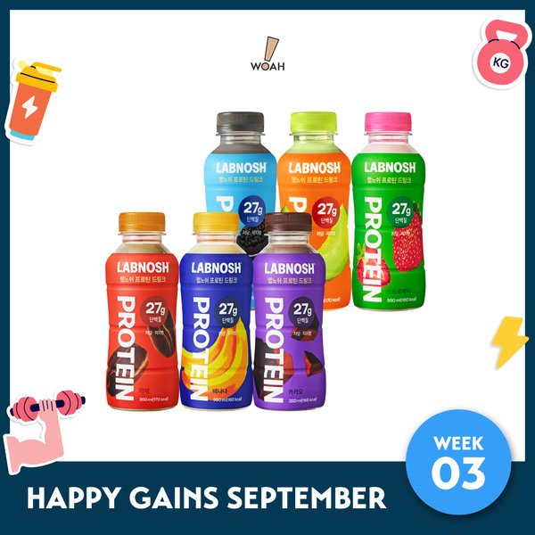 [Happy Gains September - Week 3] Labnosh Protein Shake (Case of 6)