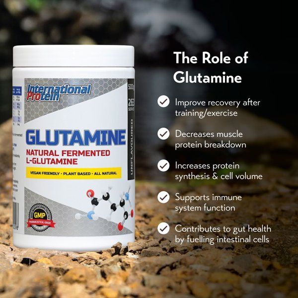 [Danial Azman Recommends] International Protein Glutamine (500g)