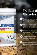 International Protein Glutamine (500g), muscle recovery